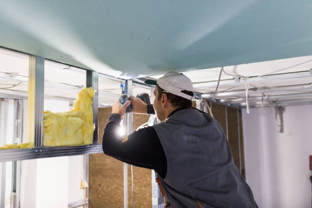 Best Commercial Insulation in Carey, ID