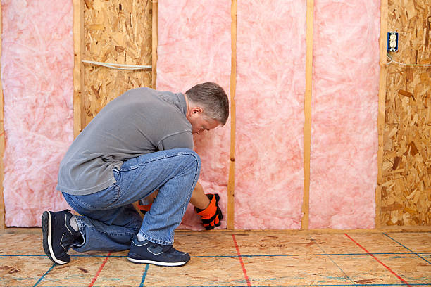 Best Eco-Friendly Insulation in Carey, ID
