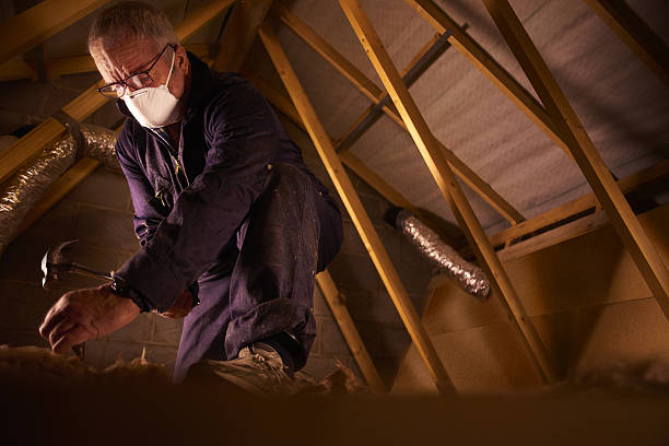 Professional Insulation Contractor in Carey, ID